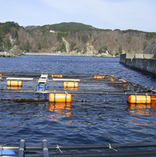 水産部門